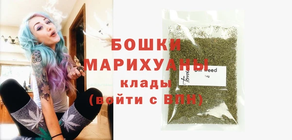 бошки Горнозаводск