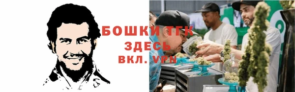 бошки Горнозаводск