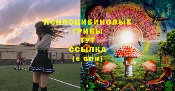 бошки Горнозаводск
