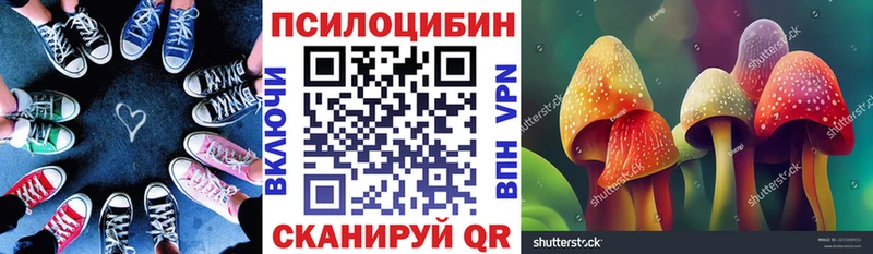 Купить где  Ивдель  Псилоцибиновые грибы мицелий 